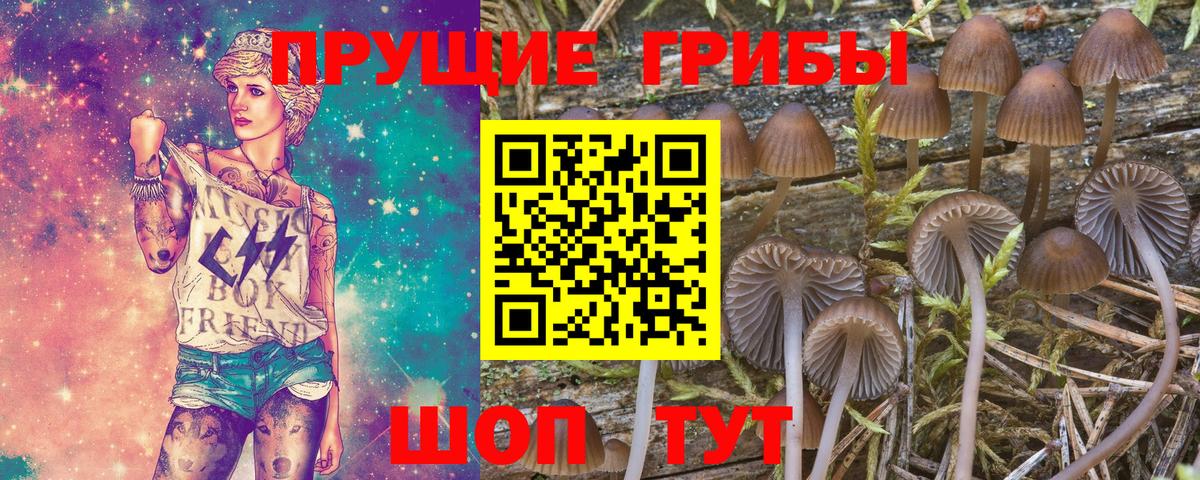 Псилоцибиновые грибы MAGIC MUSHROOMS Нягань