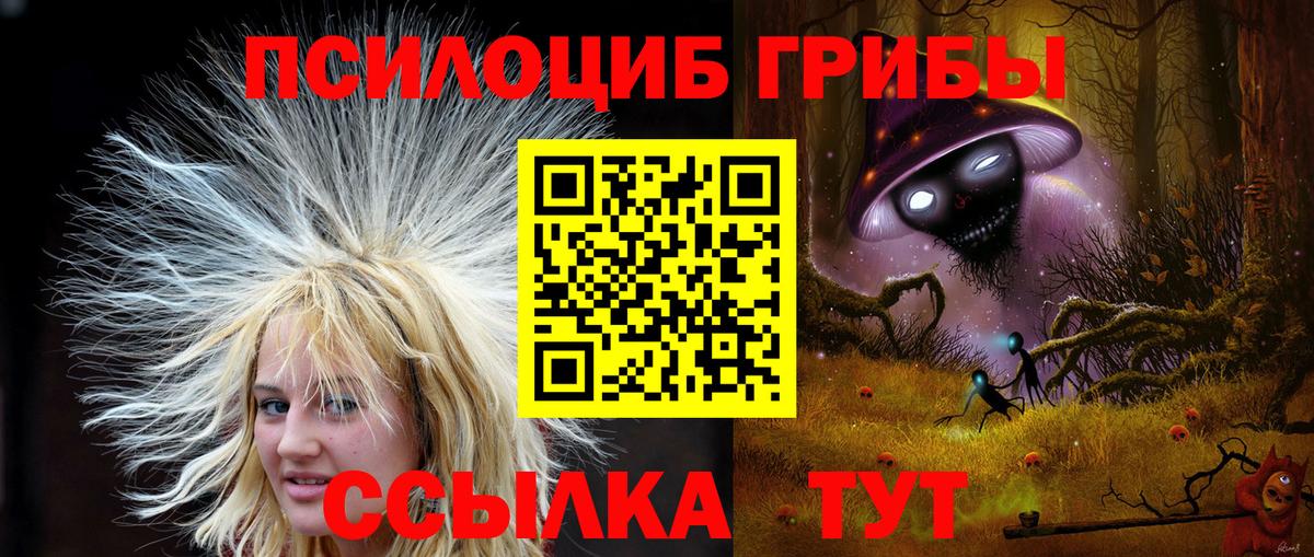 Нягань  Галлюциногенные грибы Cubensis  Вход с VPN 